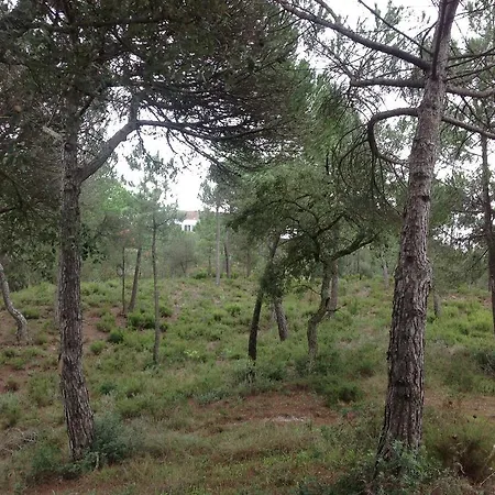 Casas Da Lage - Casa Da Vista Σπίτι διακοπών